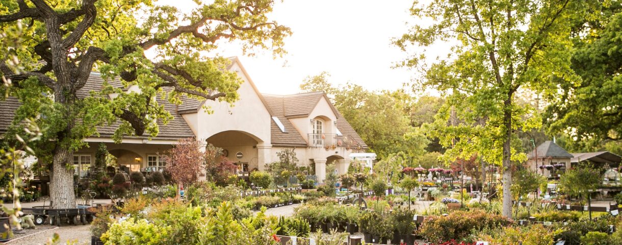 Alden Lane Nursery