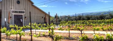 Cuda Ridge Wines
