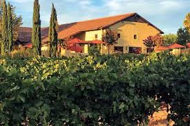 Las Positas Vineyards